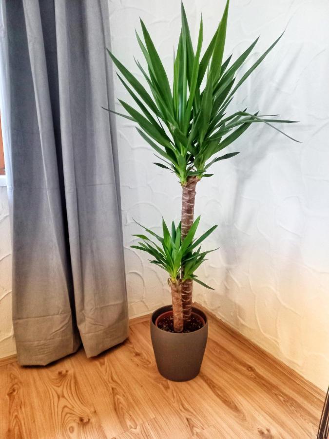Ferienwohnung Am Wald 웨이드링 외부 사진