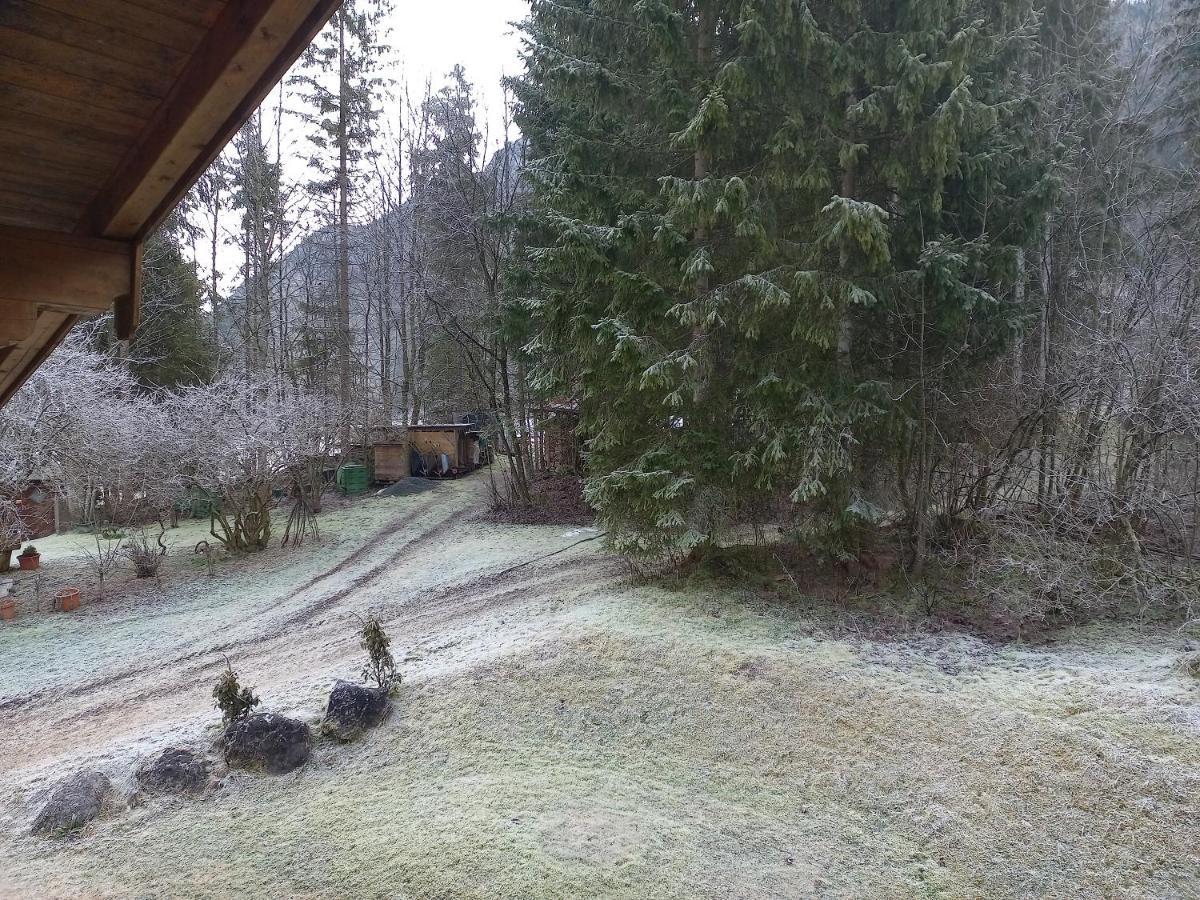Ferienwohnung Am Wald 웨이드링 외부 사진